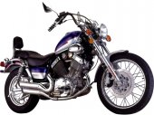 2009 Lifan LF400 V Twin photo